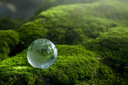 Umwelt